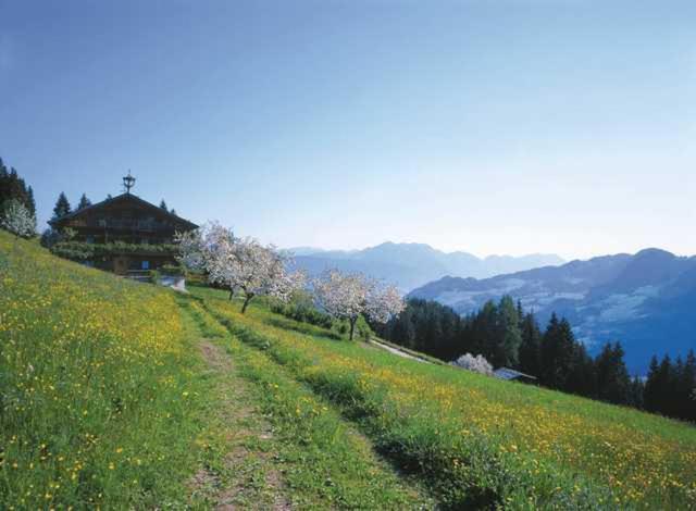 Haus Theresia 알프바취 외부 사진